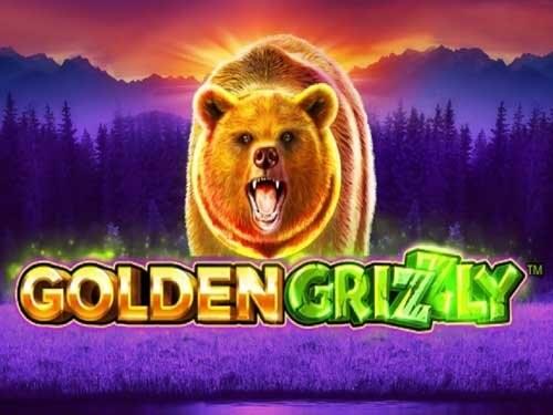 골든 그리즐리 Golden Grizzly