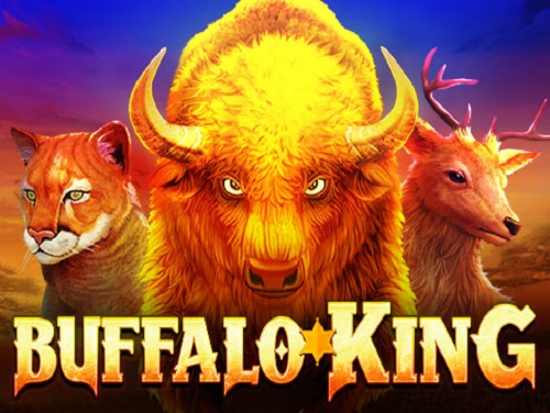 버팔로 킹 Buffalo King