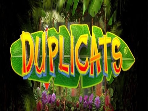 듀플리캣츠 Duplicats