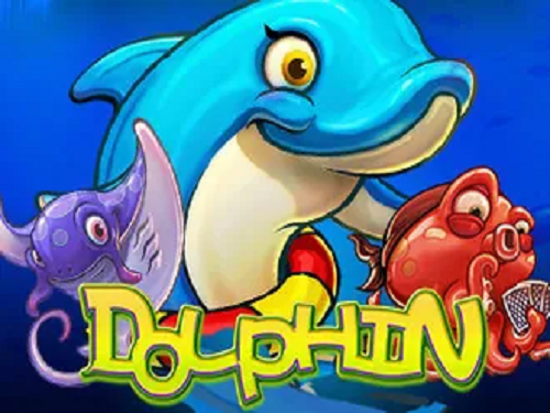 돌핀 Dolphin