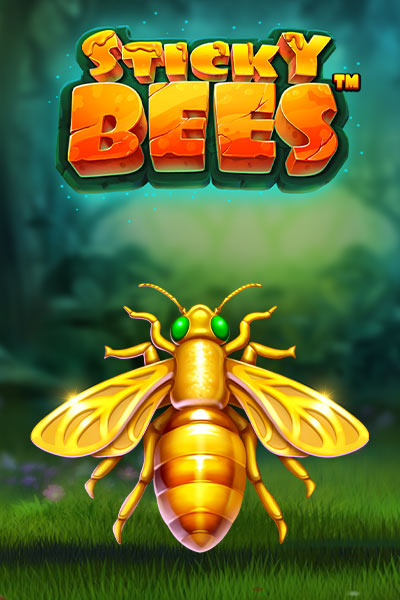 스티키 비즈 Sticky Bees