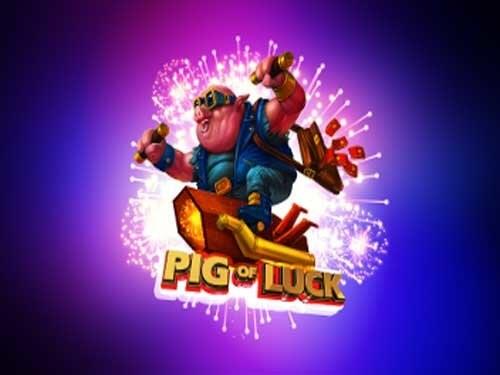피그 오브 럭 Pig Of Luck