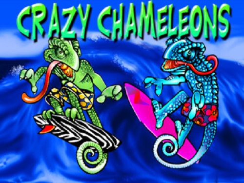 크레이지 카멜레온스 Crazy Chameleons