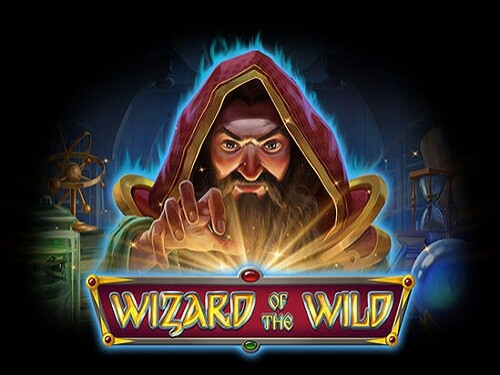 위저드 오브 더 와일드 Wizard of the Wild