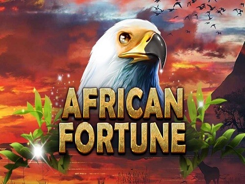 아프리칸 포춘 African Fortune