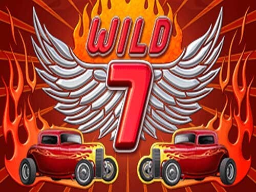 와일드 7 Wild 7