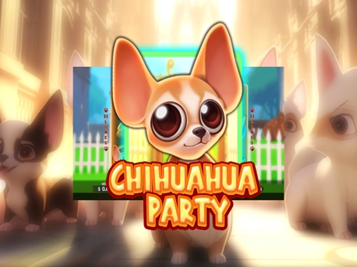 치와와 파티 Chihuahua Party