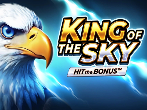킹 오브 더 스카이: 히트 더 보너스 King of the Sky: Hit the Bonus