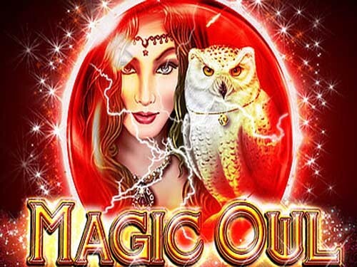 매직 아울 Magic Owl