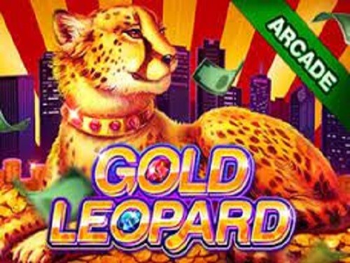 골드 레오파드 Gold Leopard