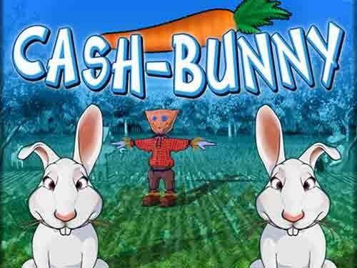 캐시 버니 Cash Bunny
