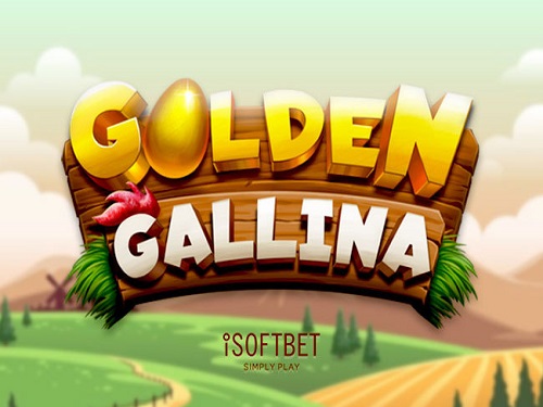 골든 갈리나 Golden Gallina