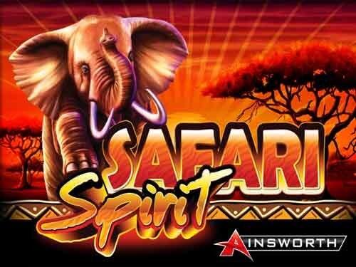 사파리 스피릿 Safari Spirit