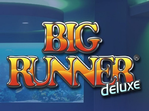 빅 러너 디럭스 Big Runner Deluxe
