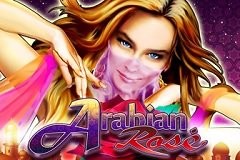 아라비안 로즈 Arabian Rose