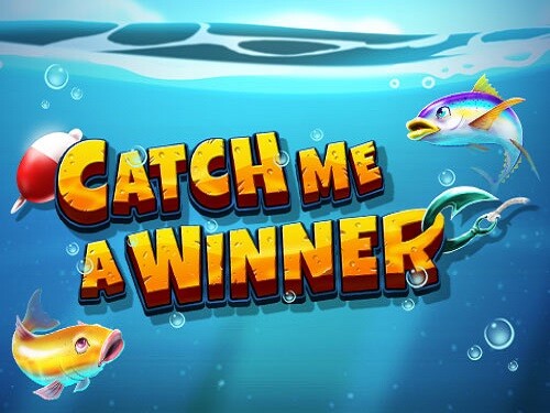 캐치 미 어 위너 Catch me a Winner