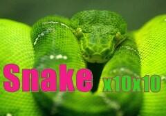 스네이크 Snake