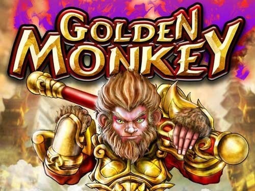 골든 몽키 Golden Monkey