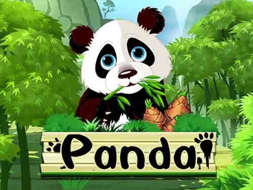 판다 Panda
