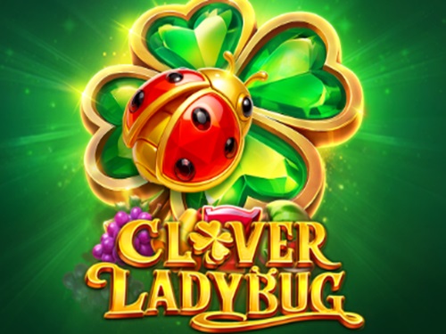 클로버 레이디버그 Clover Ladybug