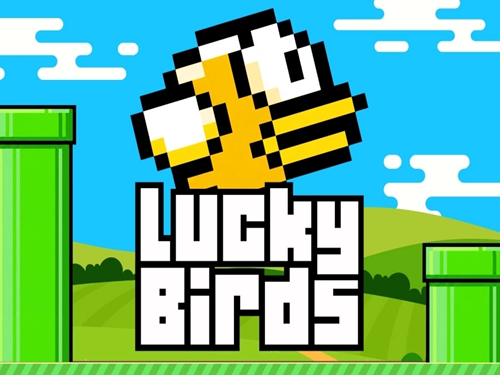 럭키 버즈 Lucky Birds