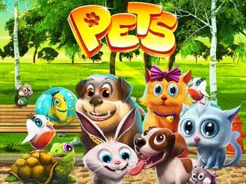 펫츠 Pets
