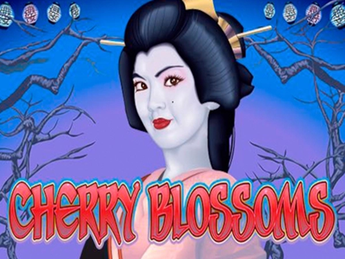 체리 블로섬스