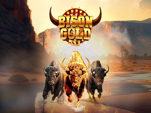 바이슨 골드 Bison Gold