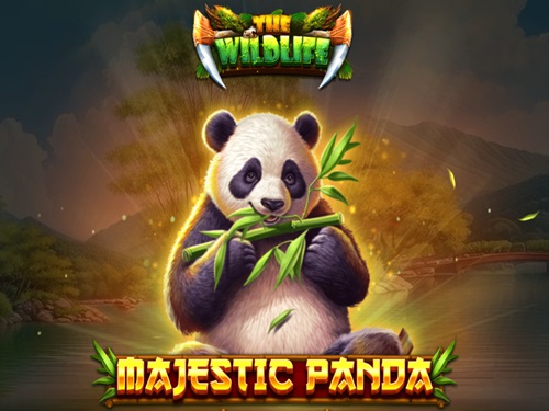 마제스틱 판다 Majestic Panda