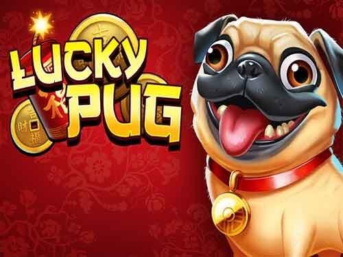 럭키 퍼그 Lucky Pug