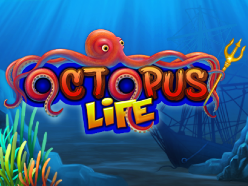 옥토퍼스 라이프 Octopus Life