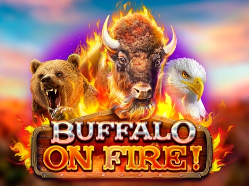 버팔로 온 파이어 Buffalo on Fire