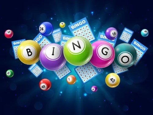 빙고 Bingo