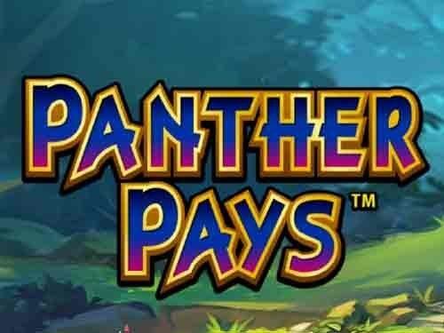 팬서 페이스 Panther Pays