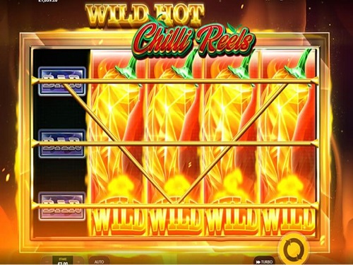 와일드 핫 칠리 릴스 Wild Hot Chilli Reels