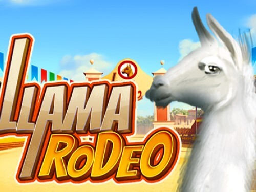 라마 로데오 Llama Rodeo