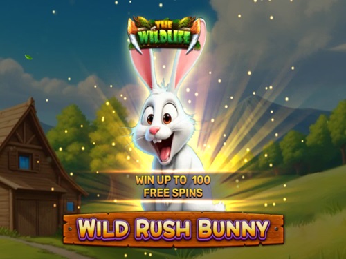 와일드 러시 버니 Wild Rush Bunny 