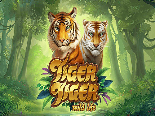 타이거 타이거 Tiger Tiger