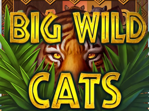 빅 와일드 캣츠 Big Wild Cats