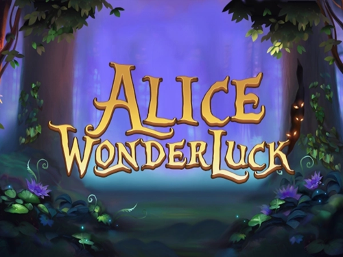 앨리스 원더럭 Alice WonderLuck