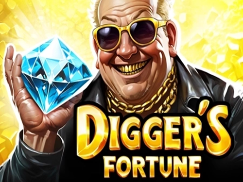 디거스 포춘 Digger's Fortune