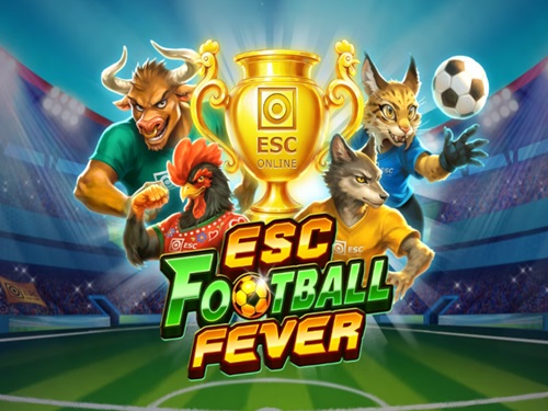 이에스씨 풋볼 피버 ESC Football Fever