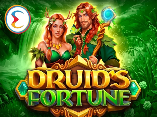 드루이즈 포춘 Druid's Fortune