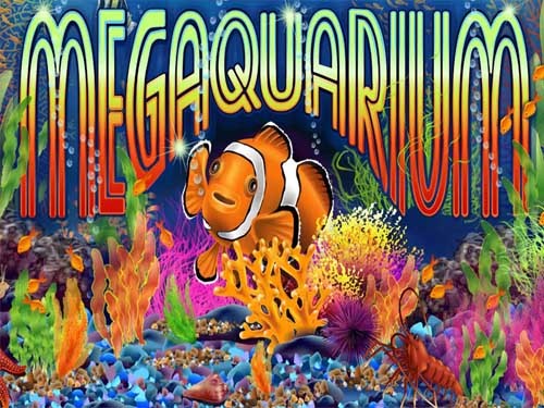 메가쿠아리움 Megaquarium