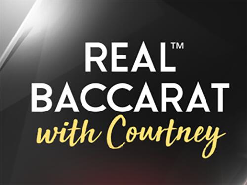 리얼 바카라 위드 코트니 Real Baccarat With Courtney