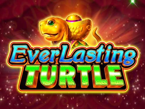 에버래스팅 터틀 Everlasting Turtle