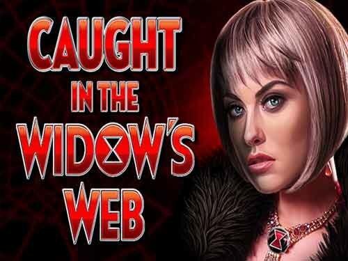 코트 인 더 위도우스 웹 Caught in the Widow's Web