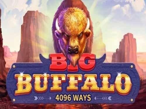 빅 버팔로 Big Buffalo