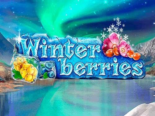 윈터 베리스 Winter Berries