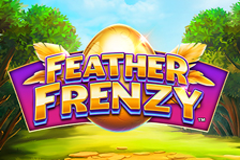 페더 프렌지 Feather Frenzy
